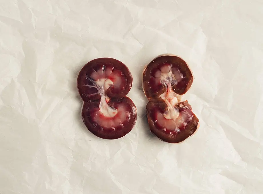 Genel Kuzu Böbrek - nebyandogal®