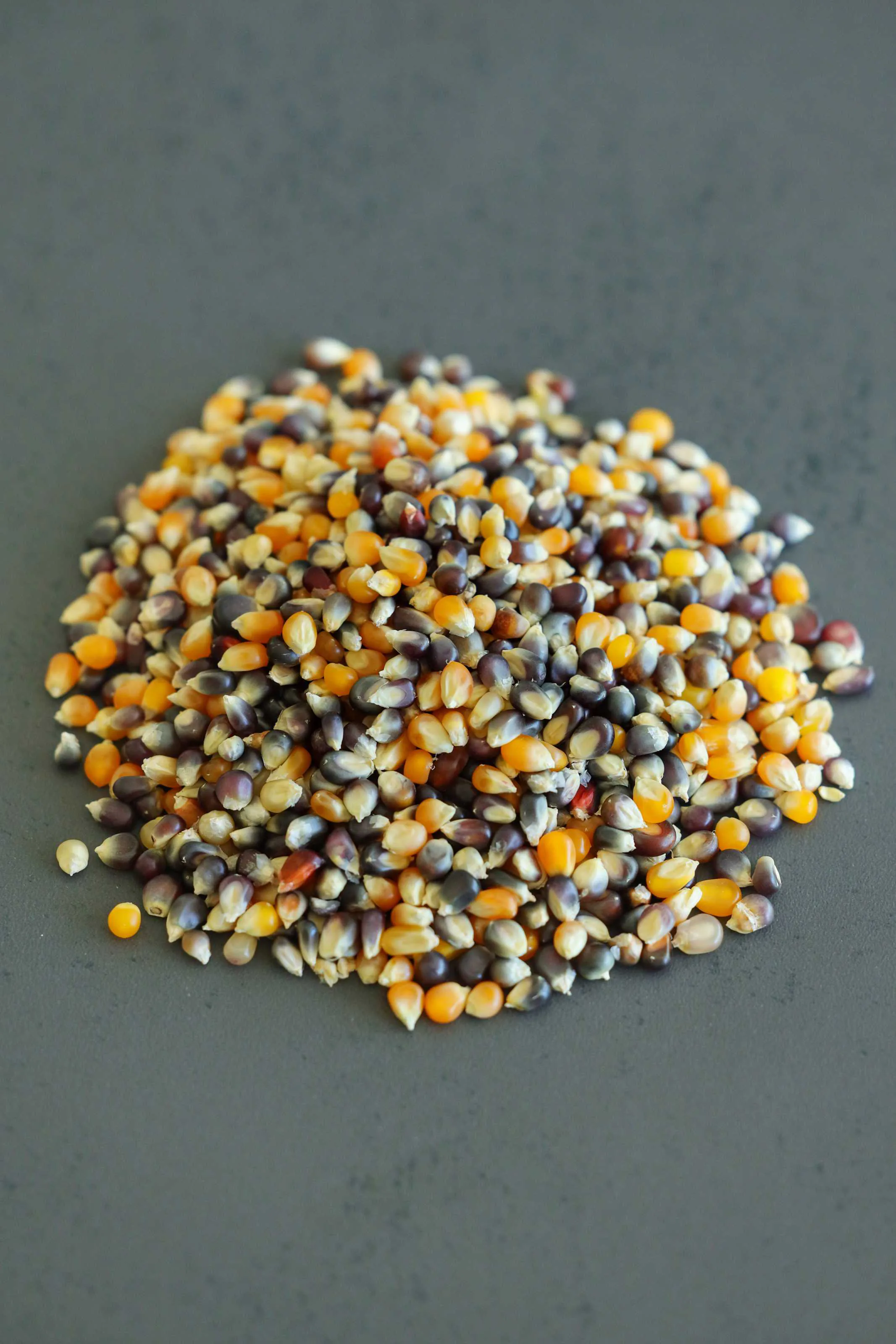 Genel Patlatmalık Mısır