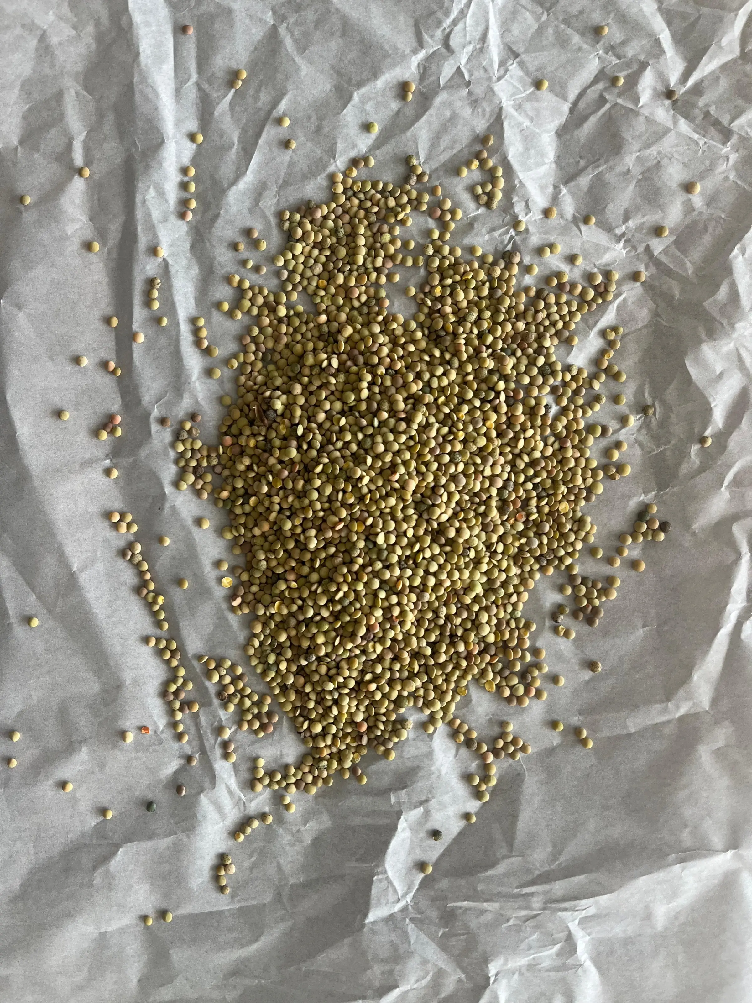 Genel Yeşil Mercimek - nebyandogal®