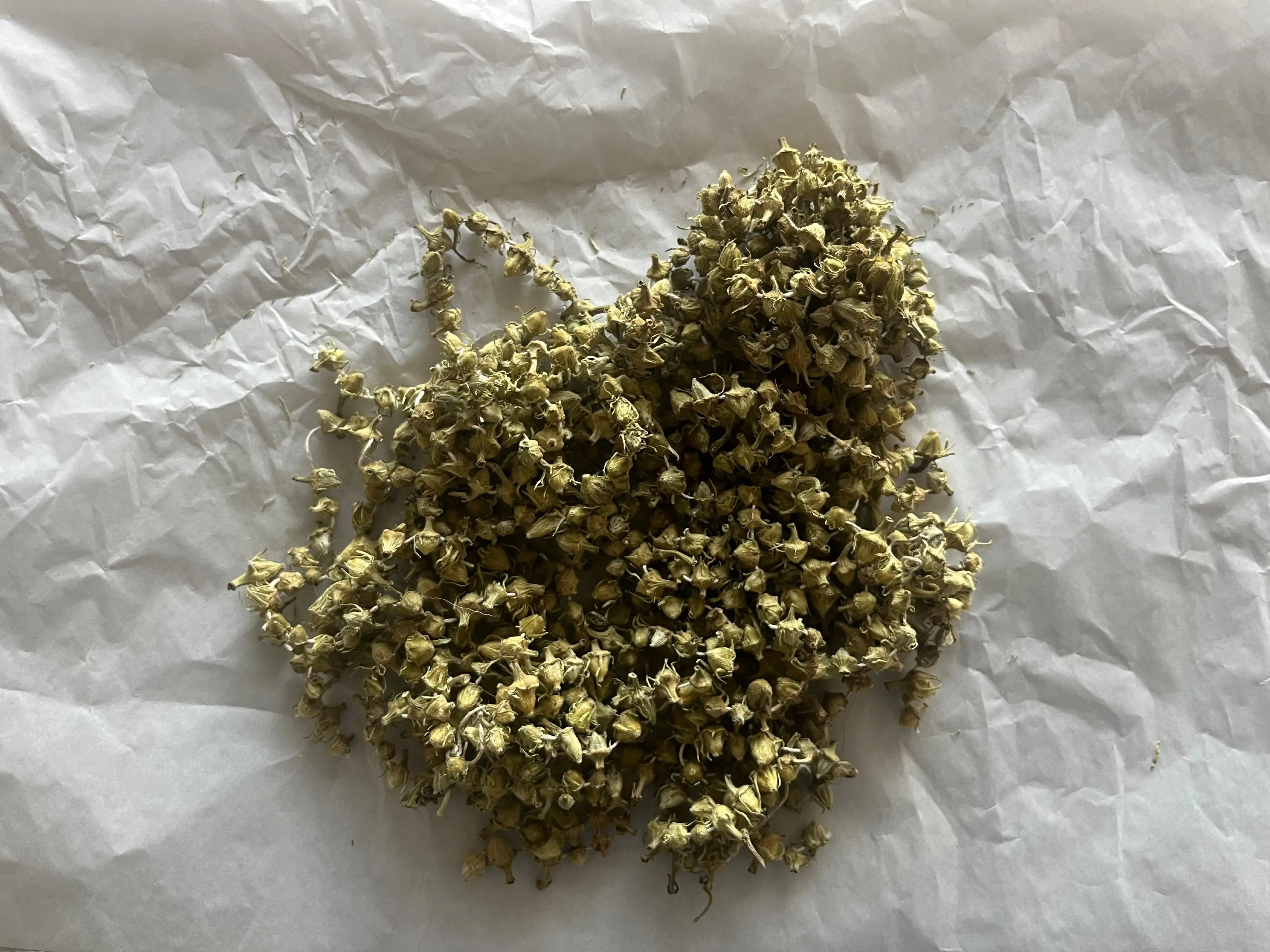 Genel Erbaa Bamya Kurusu - nebyandogal®