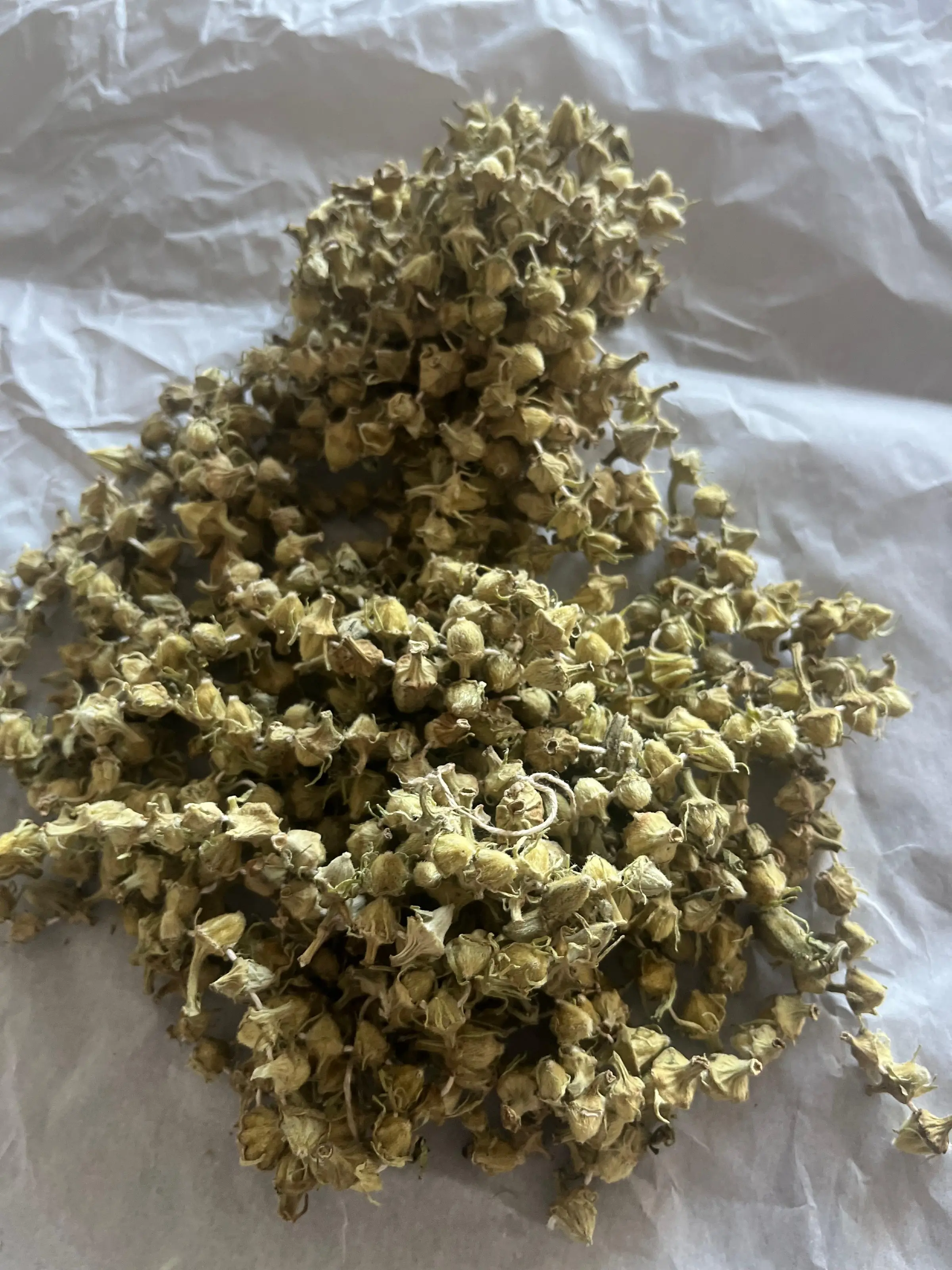 Genel Erbaa Bamya Kurusu