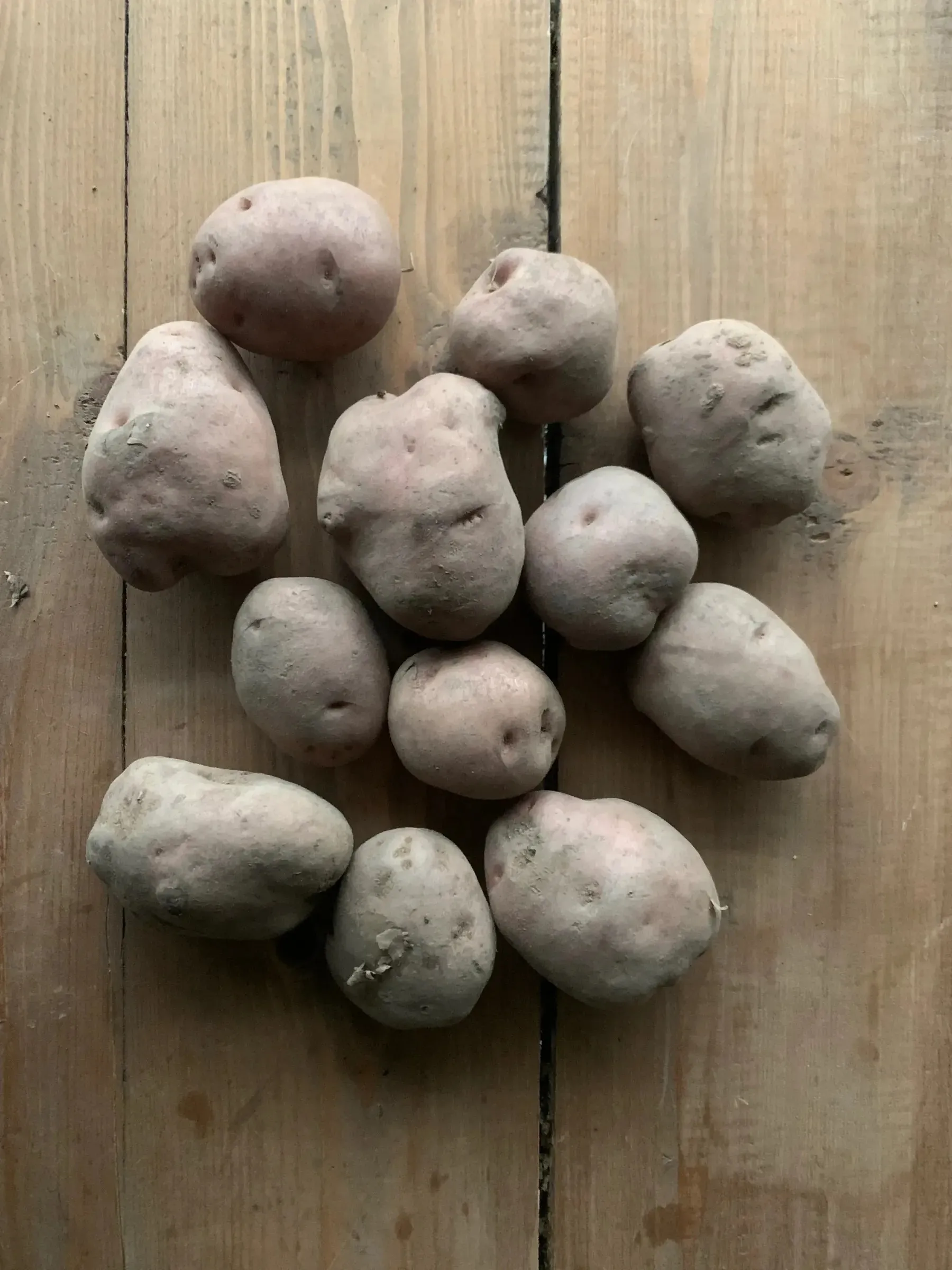 Genel Kazıkbeli Patates Paketi 3 kg